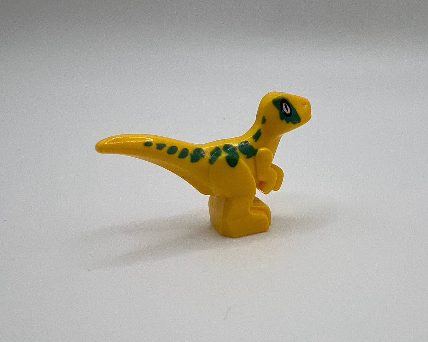 Mini Raptor—Pick Color