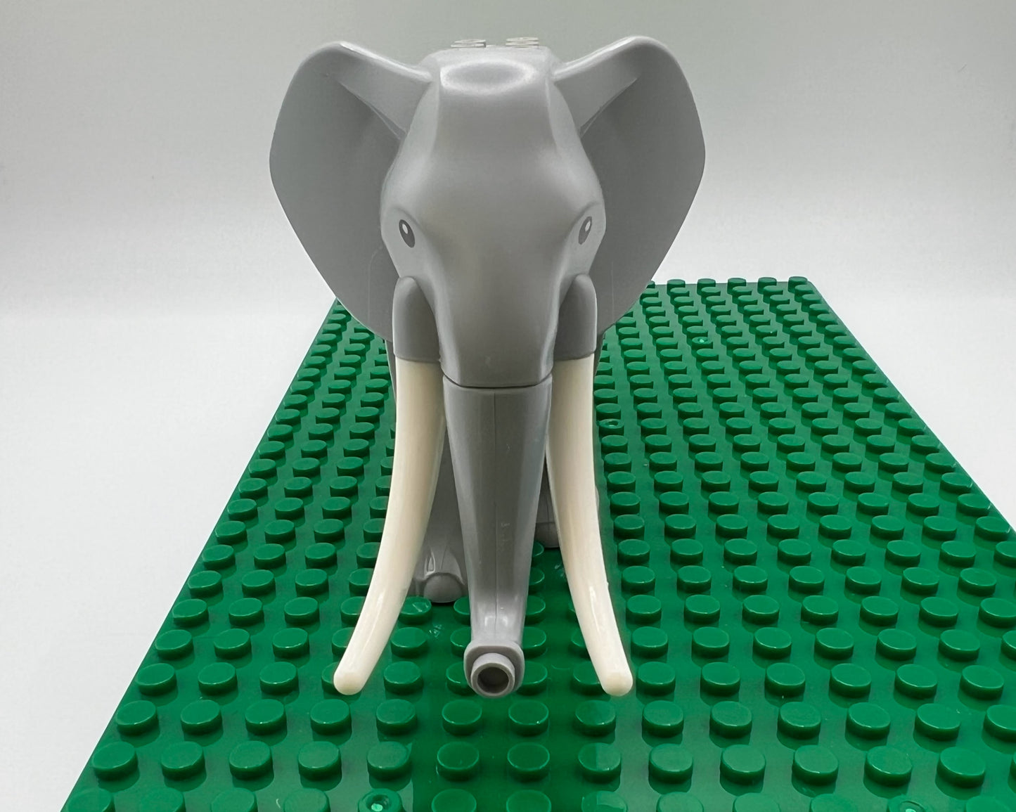 Elephant—Pick Tusk Length