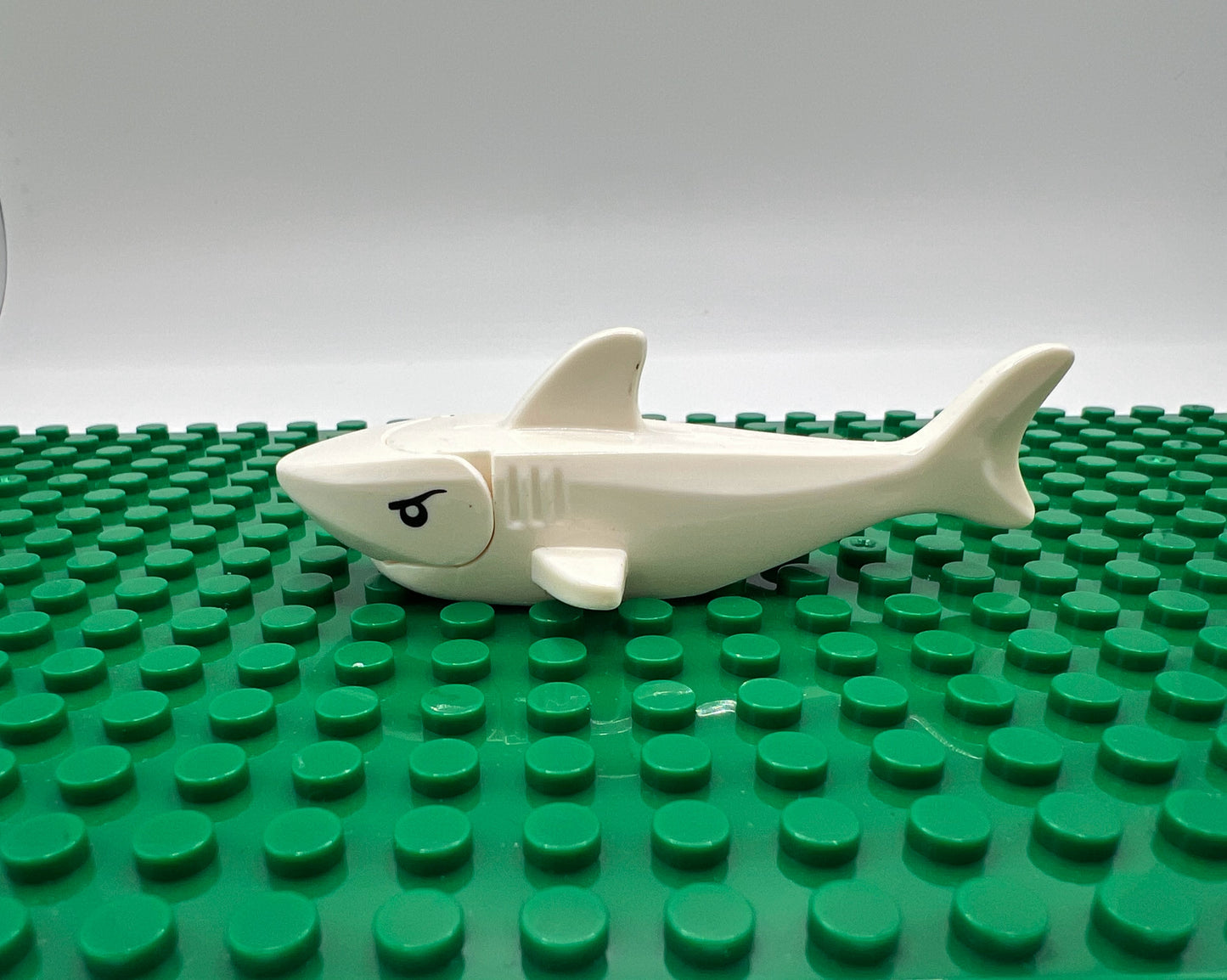 White Shark