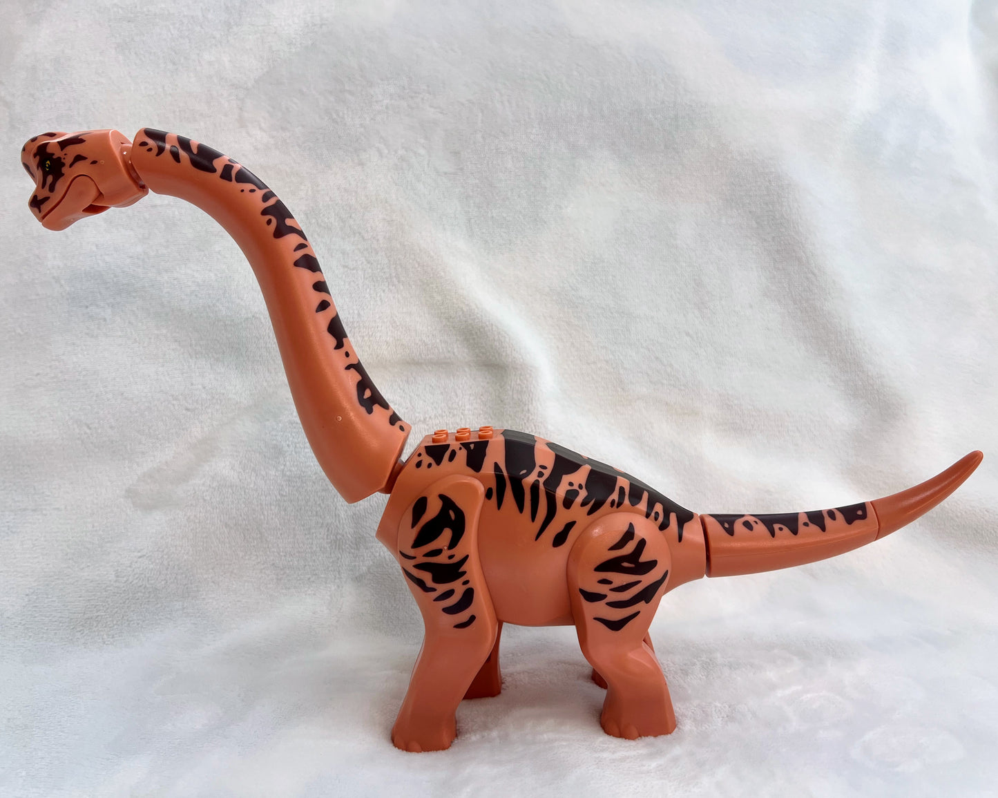 Brachiosaurus—Pick Color