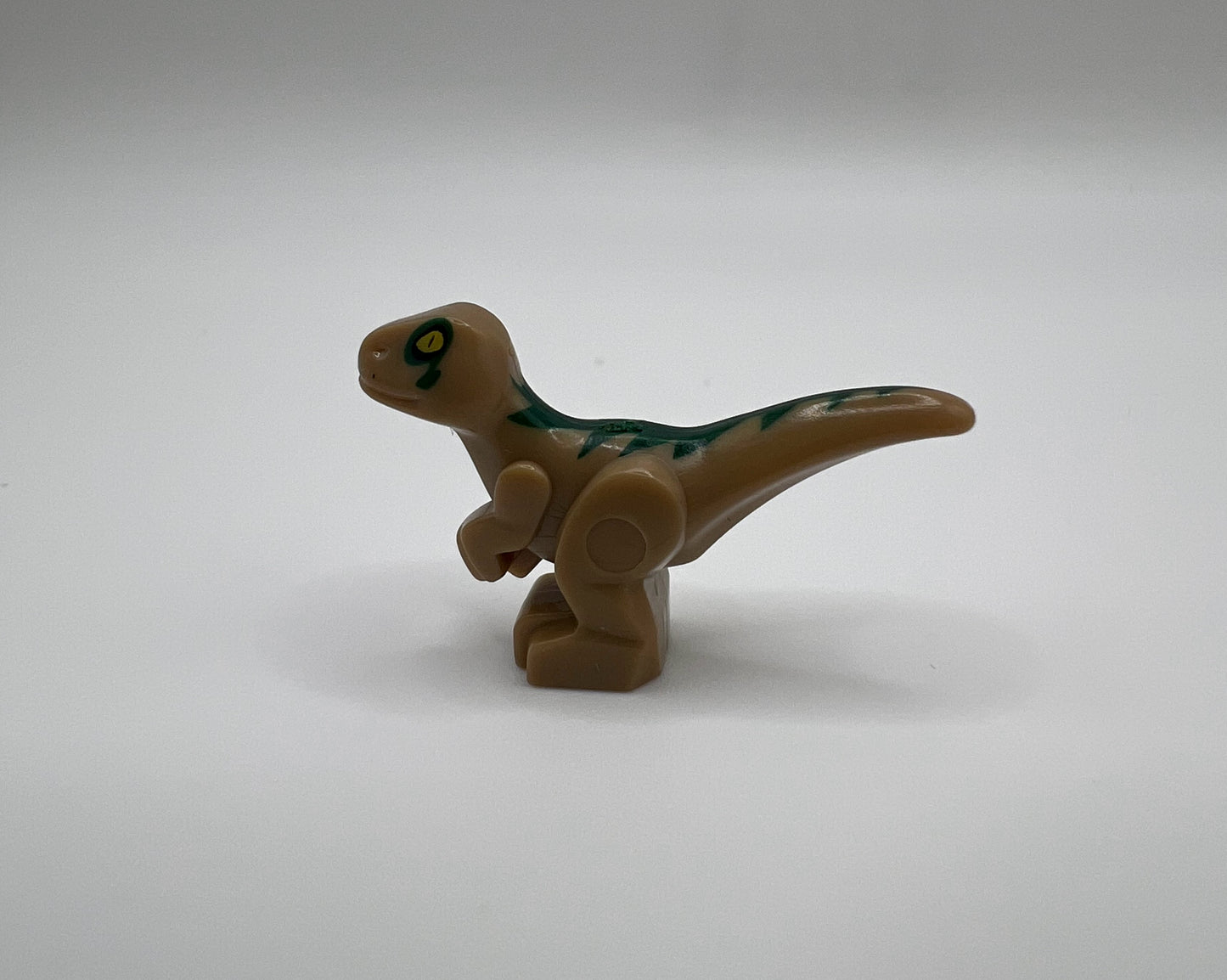 Mini Raptor—Pick Color