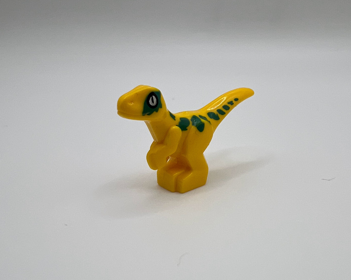 Mini Raptor—Pick Color