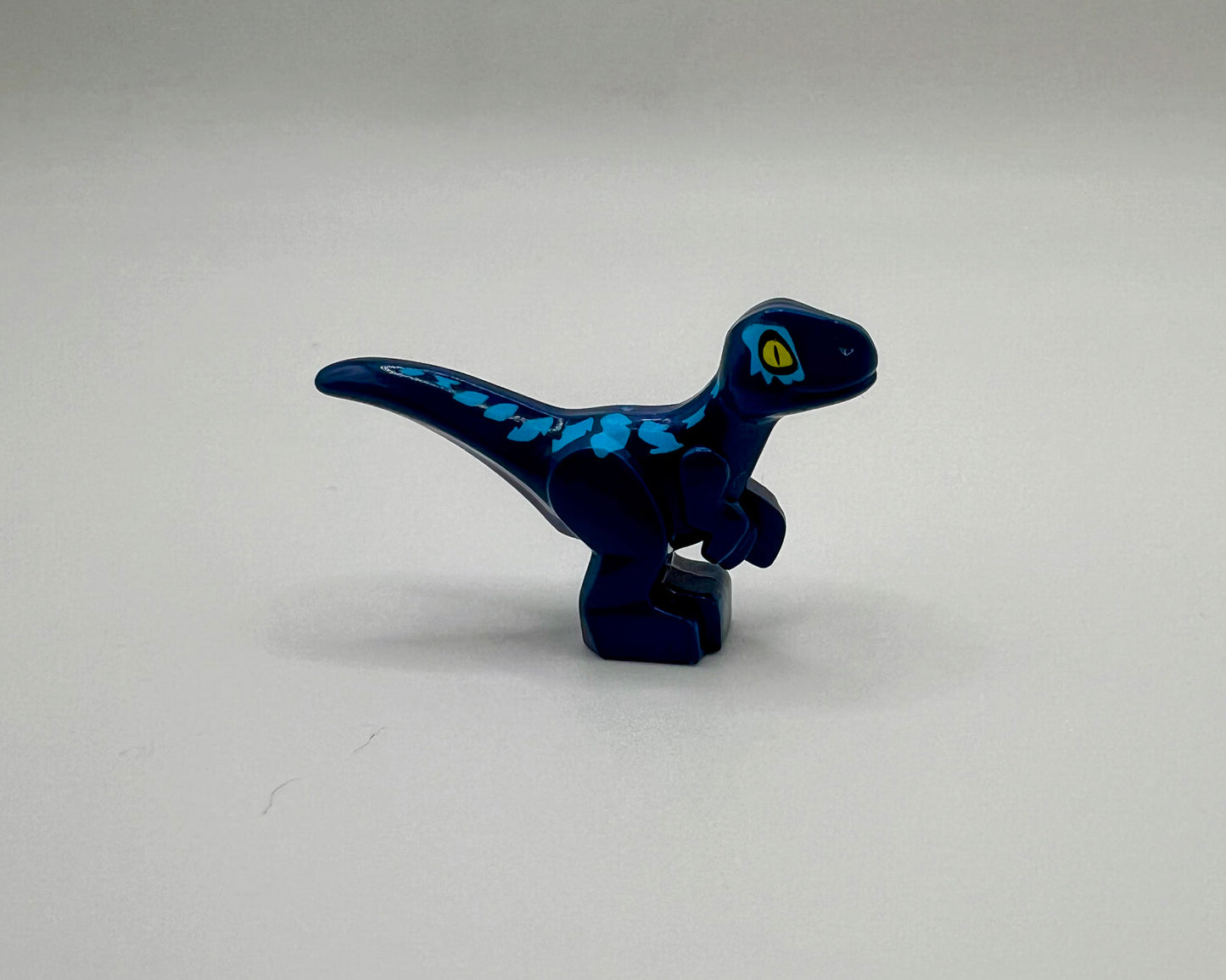 Mini Raptor—Pick Color