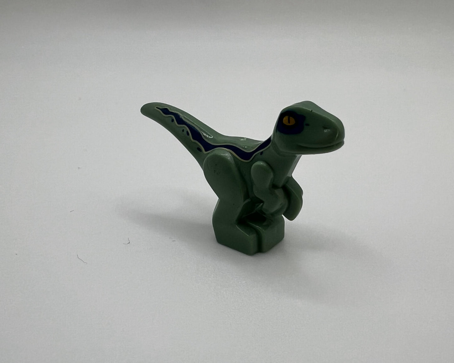 Mini Raptor—Pick Color
