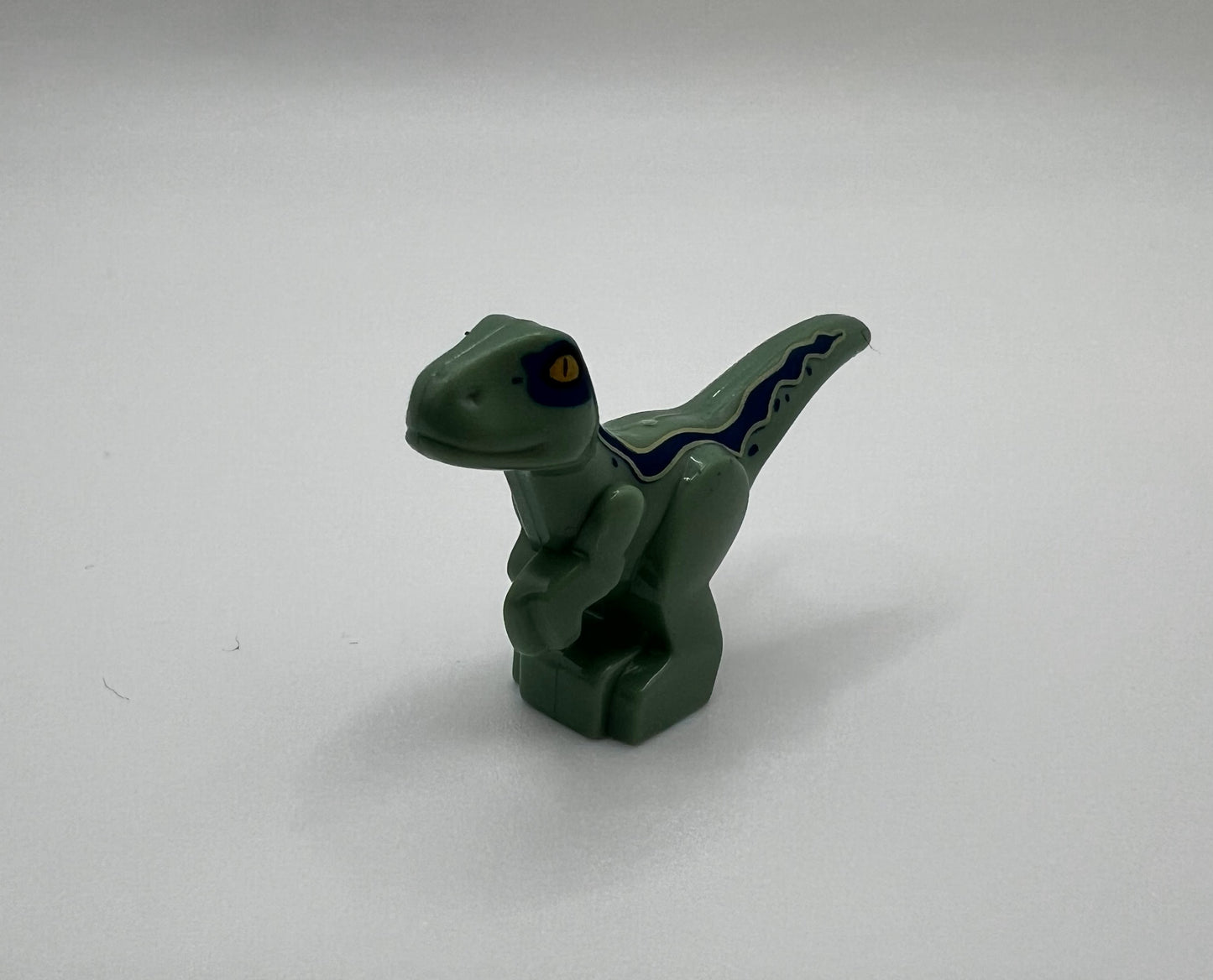 Mini Raptor—Pick Color