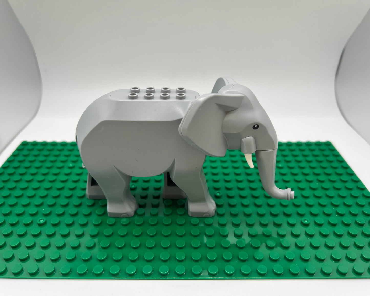 Elephant—Pick Tusk Length