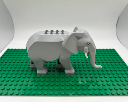 Elephant—Pick Tusk Length