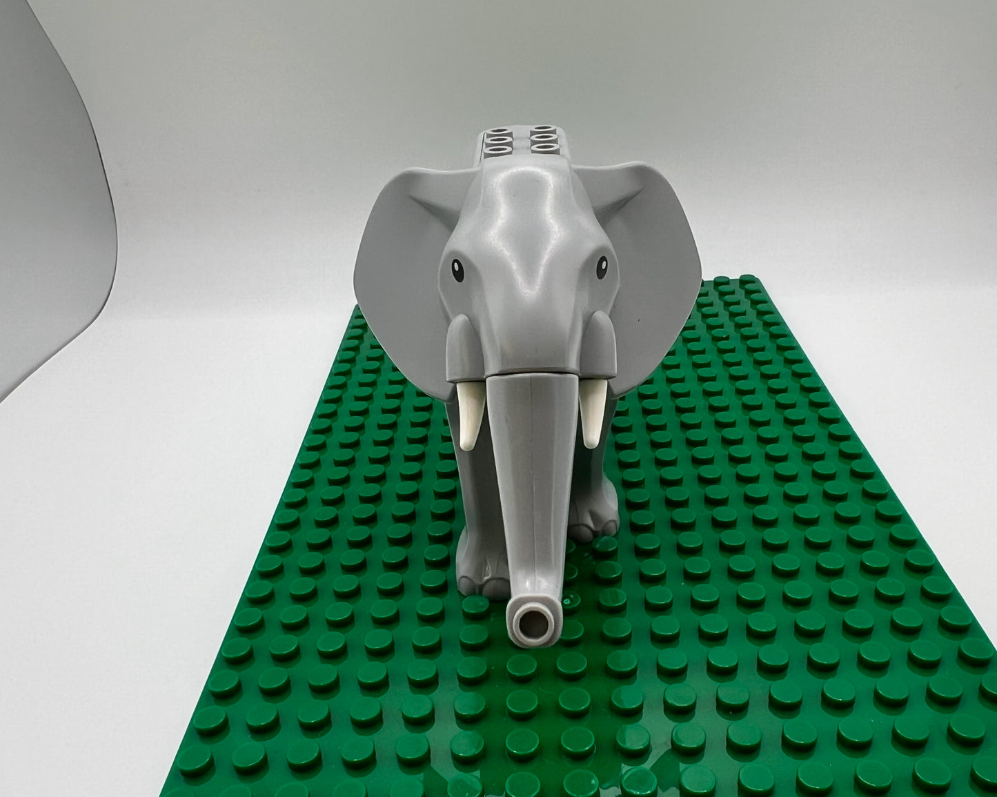 Elephant—Pick Tusk Length