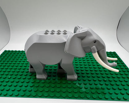 Elephant—Pick Tusk Length