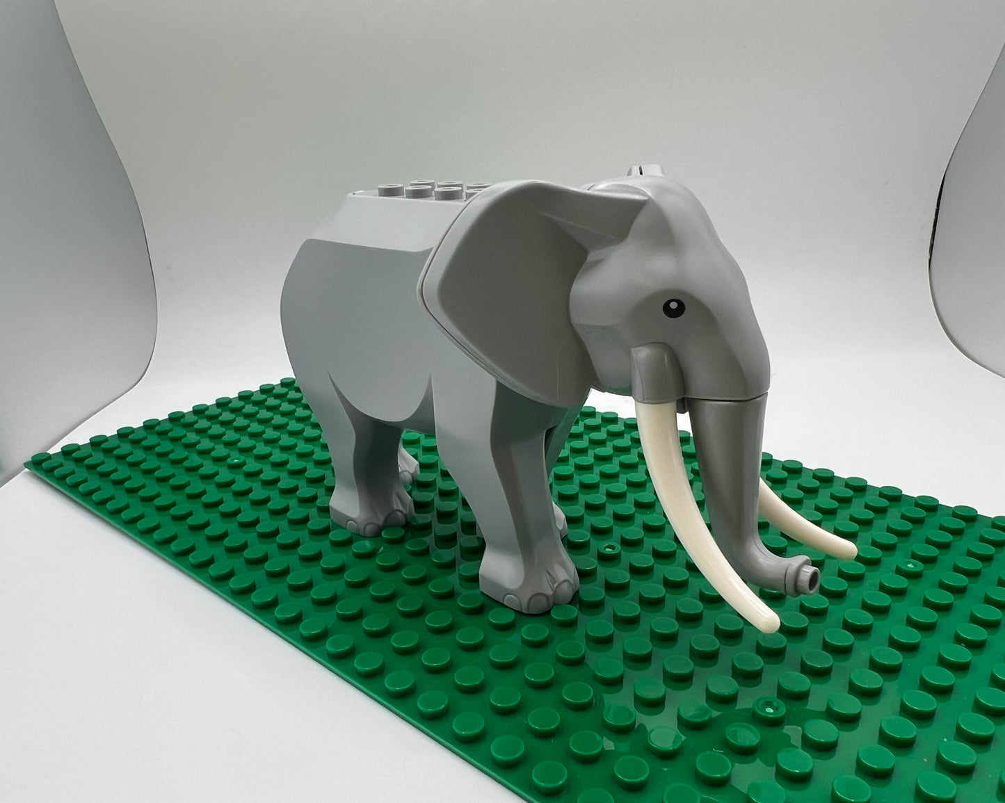 Elephant—Pick Tusk Length