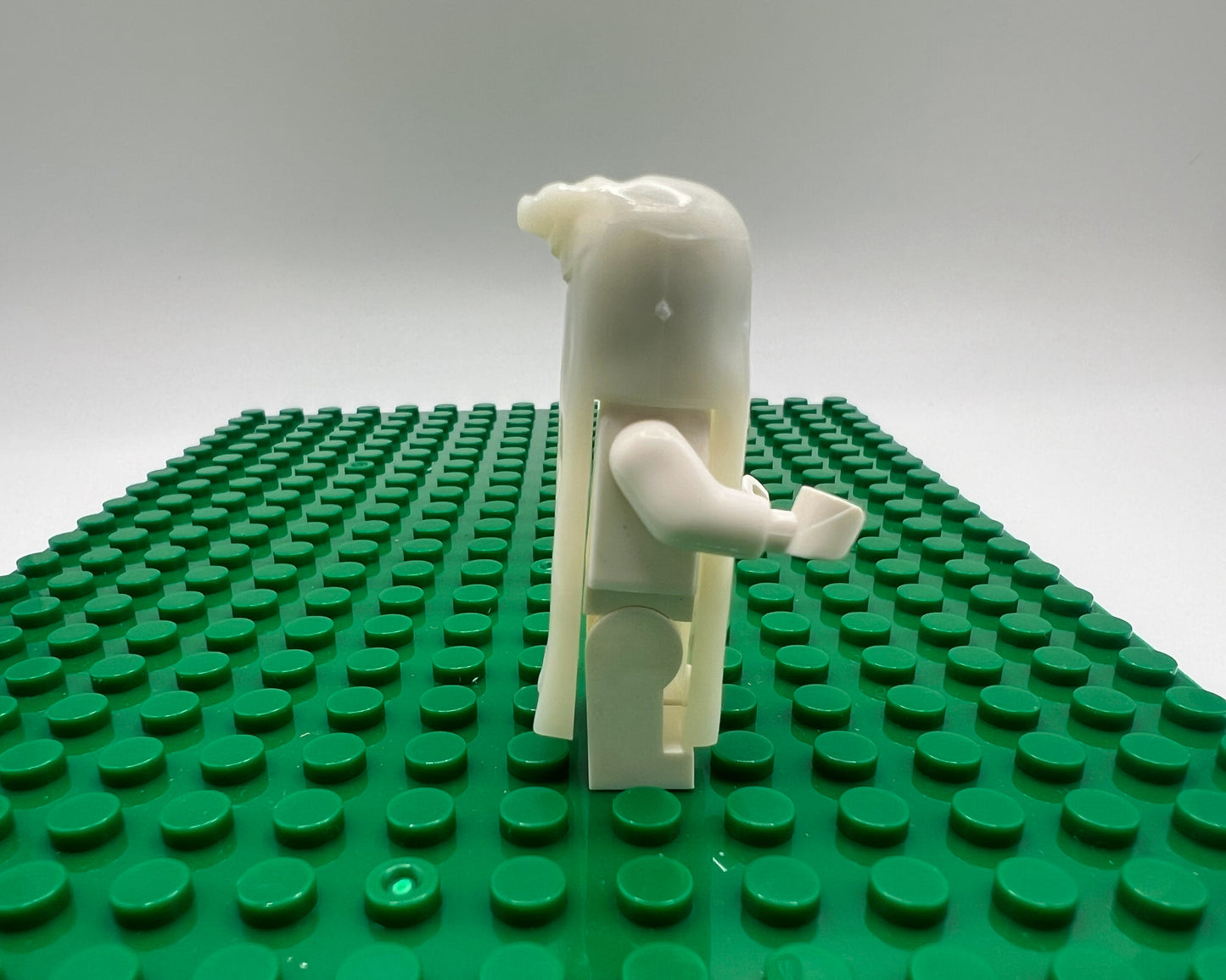 Glow-in-the-Dark Ghost Fig