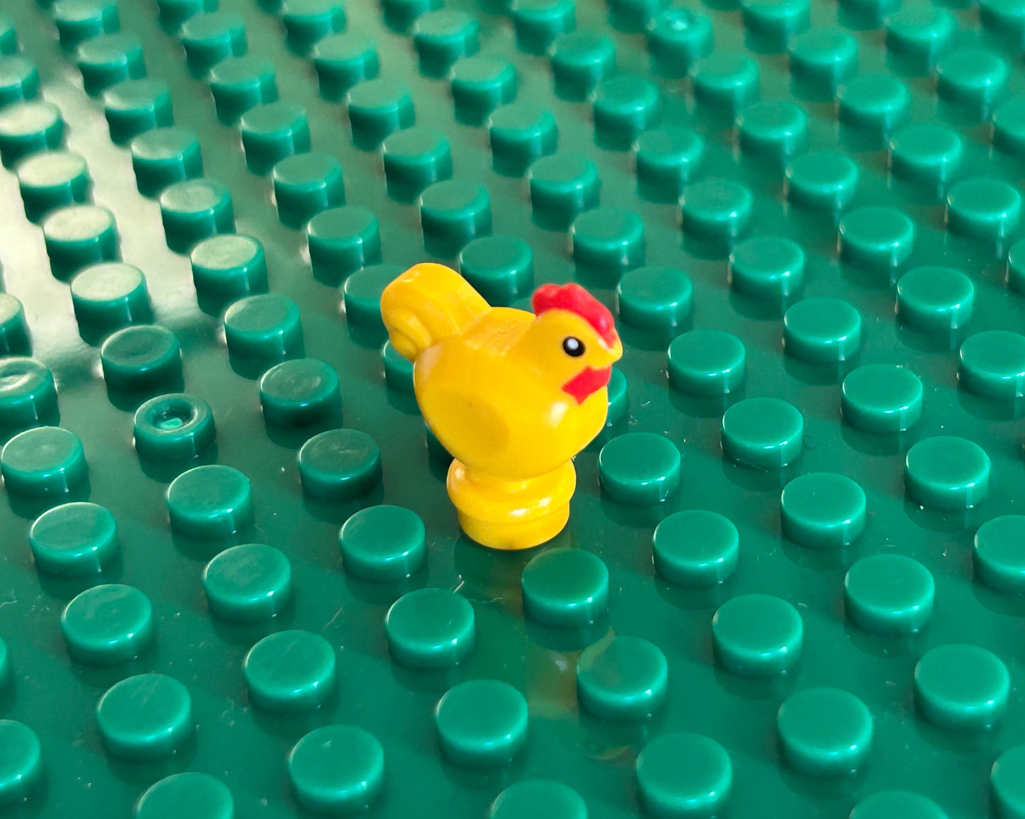 Mini Chicken—Pick Color