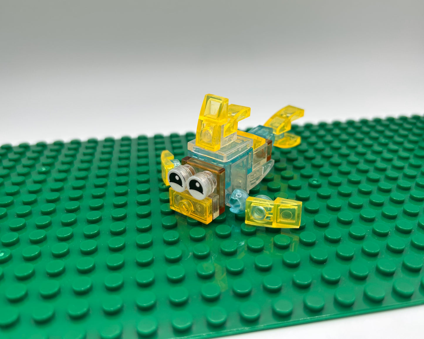 12 Unique Sea Creatures—Choose Quantity