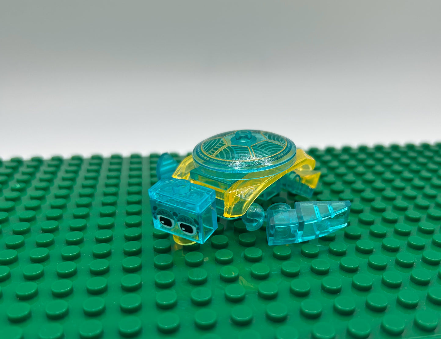 12 Unique Sea Creatures—Choose Quantity