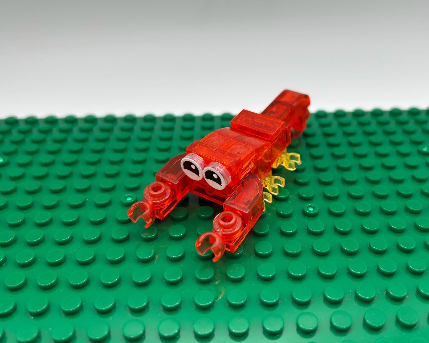 12 Unique Sea Creatures—Choose Quantity