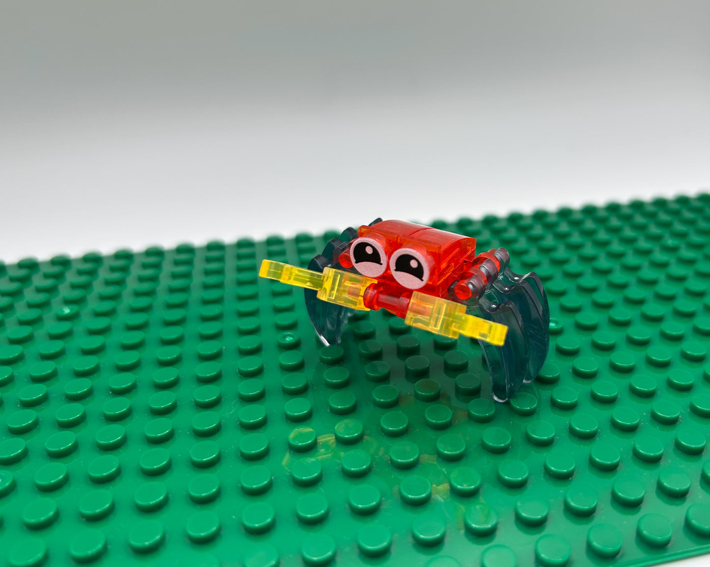 12 Unique Sea Creatures—Choose Quantity