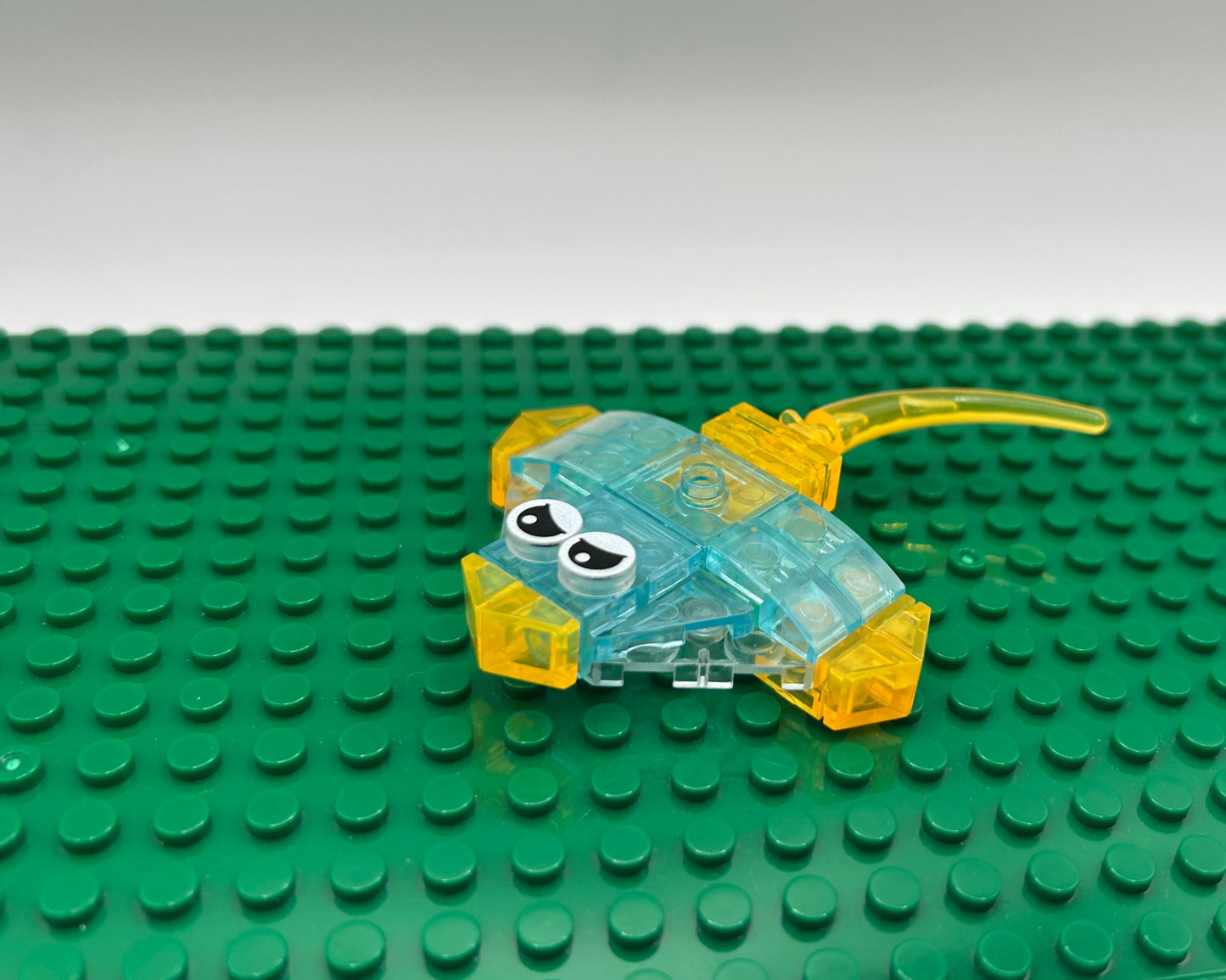 12 Unique Sea Creatures—Choose Quantity