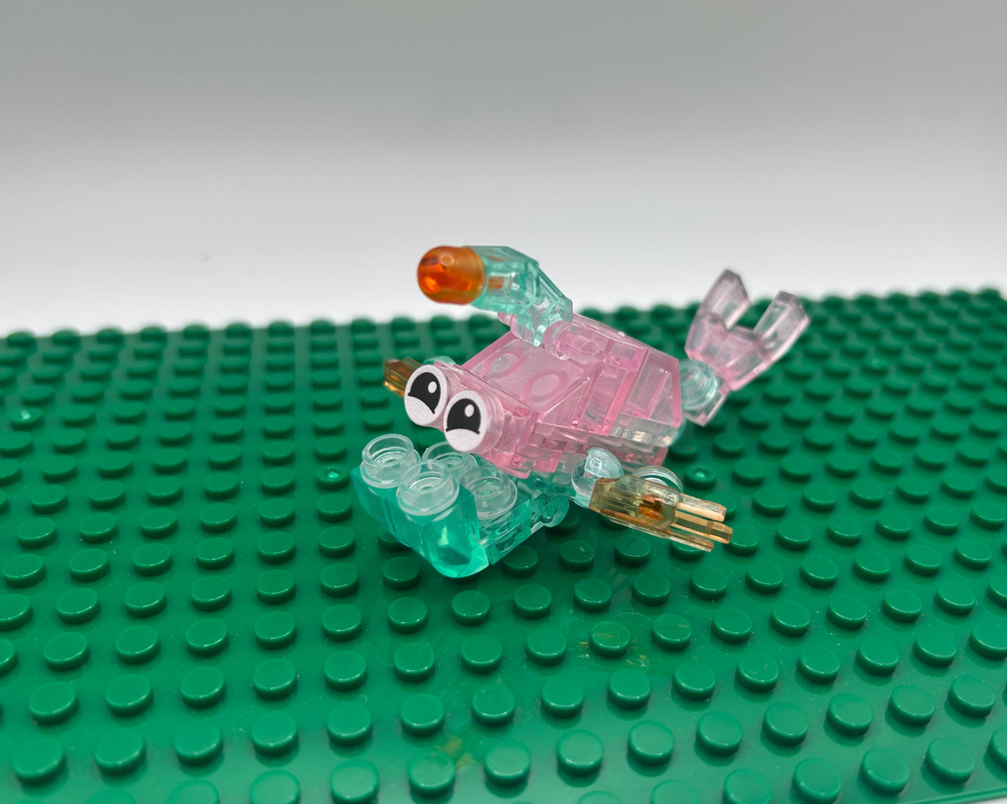 12 Unique Sea Creatures—Choose Quantity