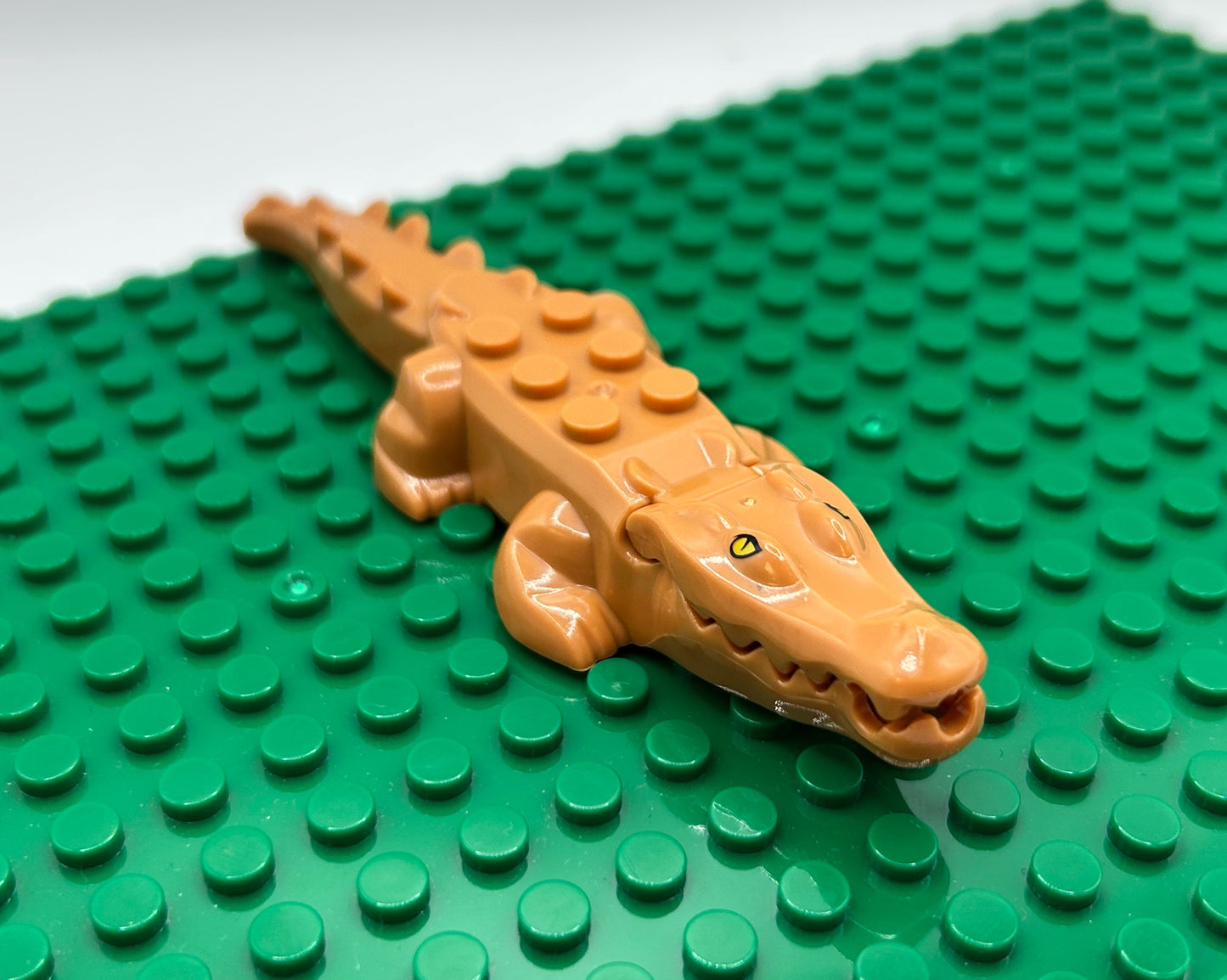 Alligator/Crocodile—Choose Color