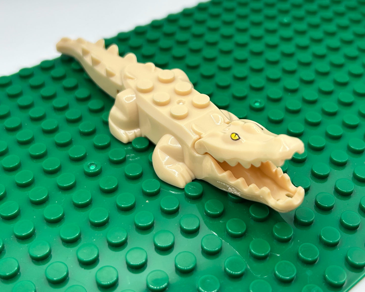 Alligator/Crocodile—Choose Color
