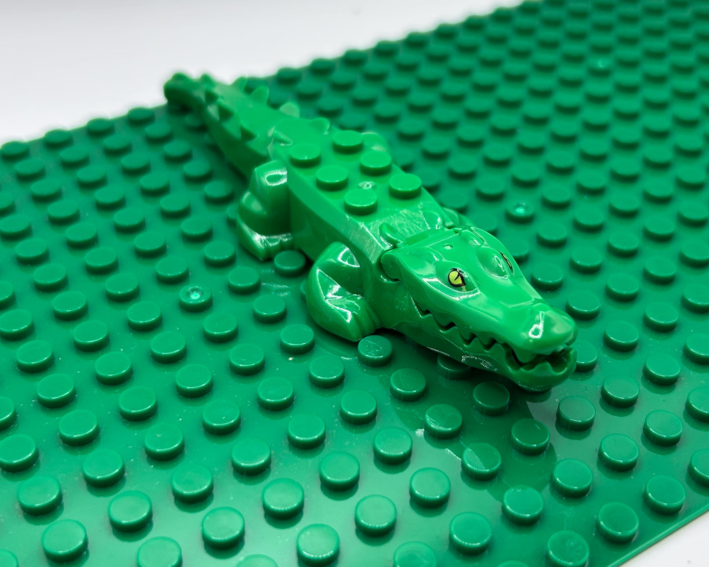 Alligator/Crocodile—Choose Color