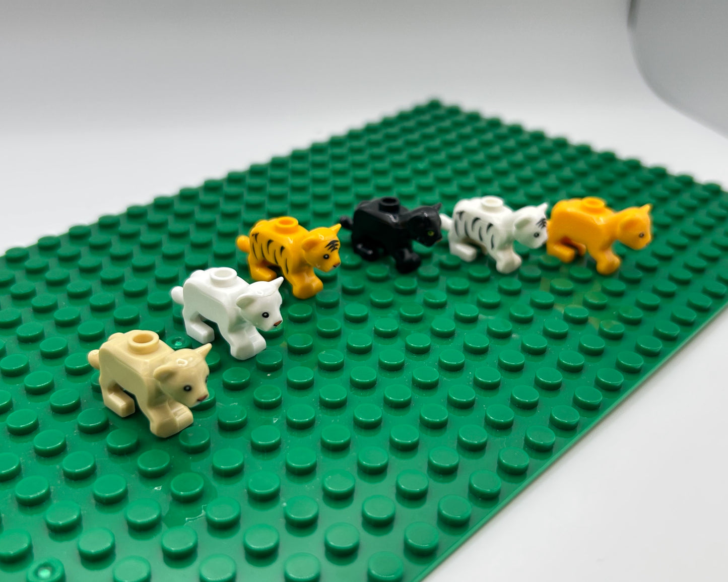 Kittens—Choose Color