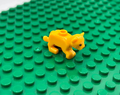 Kittens—Choose Color