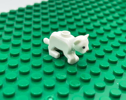 Kittens—Choose Color